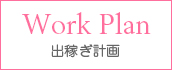 Work Plan